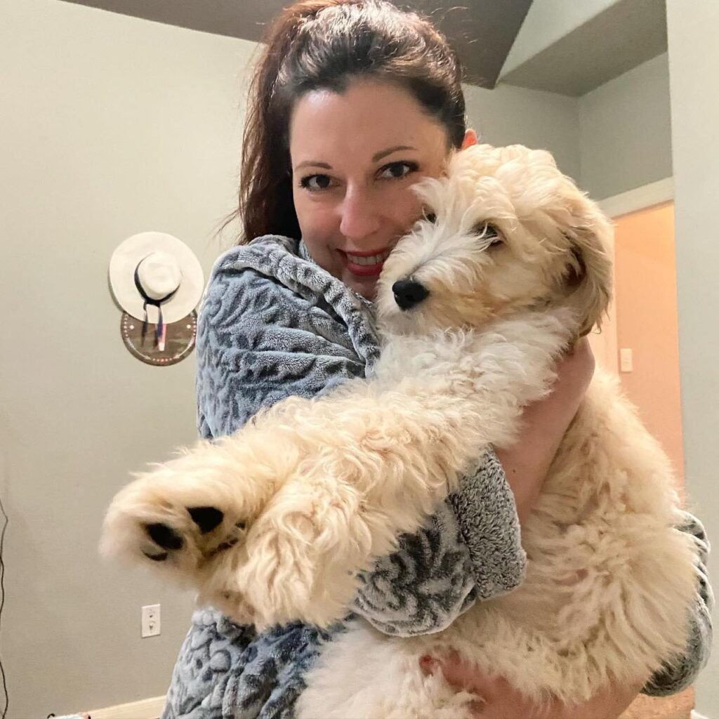 Golden Doodle Puppy in Texas