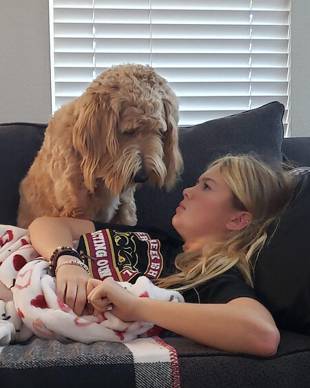 Missy Golden Doodle Puppy in Texas