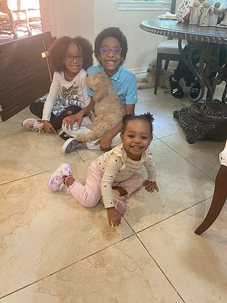 Cinnamon Golden Doodle Puppy in Texas