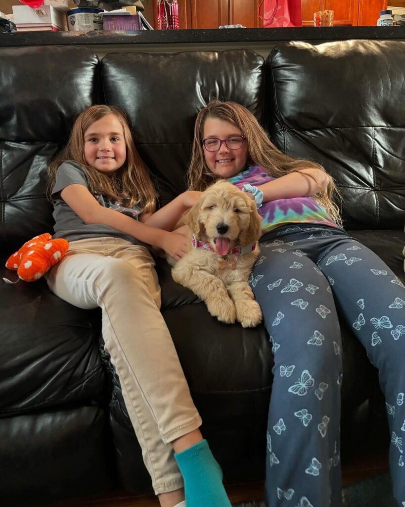 Bailey Golden Doodle Puppy in Texas