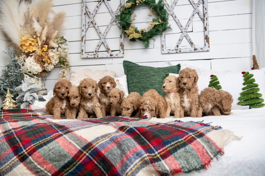 Our Photo Shoot