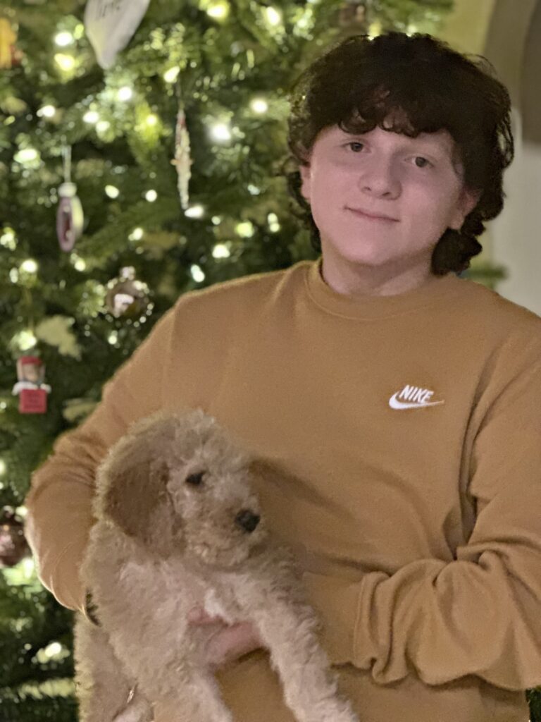 Bradford Golden Doodle Puppy in Texas