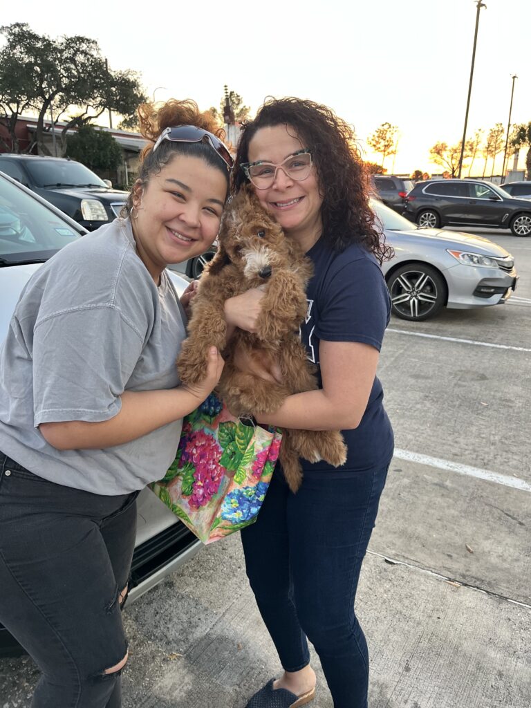Mia Golden Doodle Puppy in Texas