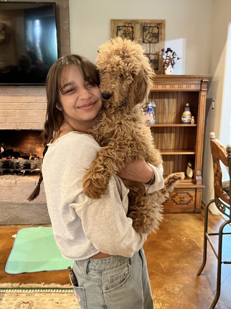 Ollie Golden Doodle Puppy in Texas