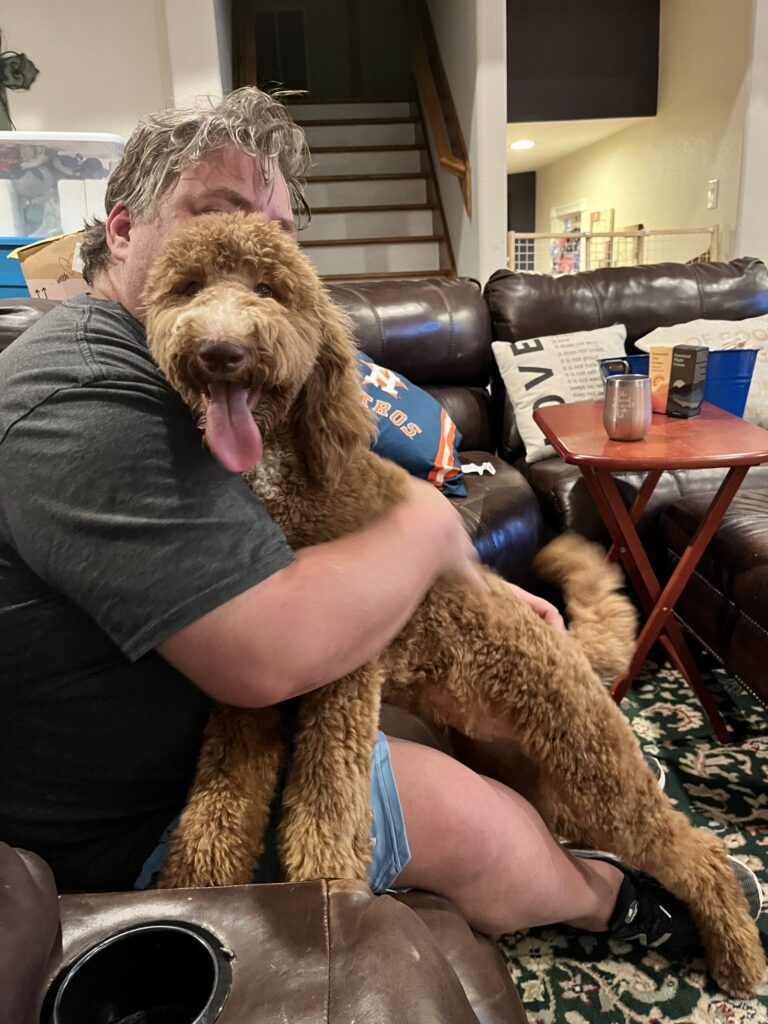 Sunshine Golden Doodle Puppy in Texas