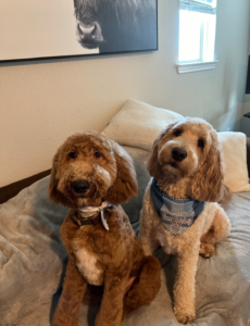 Teddy With His Brother Dutton