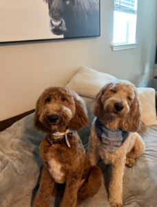 Teddy With His Brother Dutton