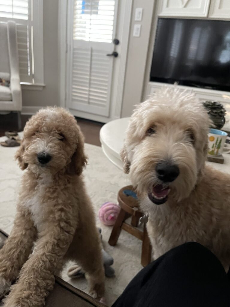 Rose with her big sister Ruby!!