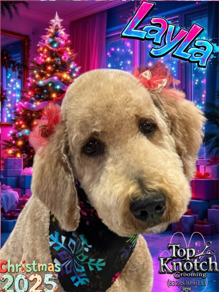 Layla